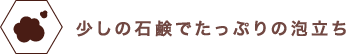 少しの石鹸でたっぷりの泡立ち